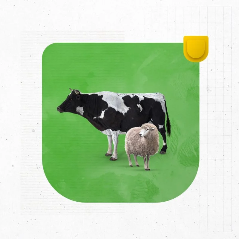 WhatsApp Image 2023 08 20 at 19.01.43