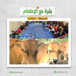 بقرة مع الإطعام فى تنزانيا