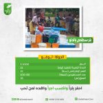 بئر سطحى بالدلو فى توغو